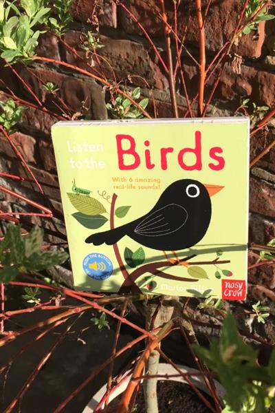 Nosy Crow / Listen To The Birds Çok Renkli