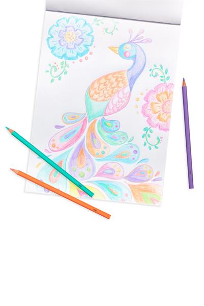 Ooly Pastel Hues 12li Kuru Boya Kalemi Çok Renkli