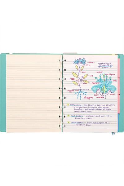 Ooly Writers Duo Çift Uçlu 3lü Set - Dolma Kalem ve Highlighter Çok Renkli