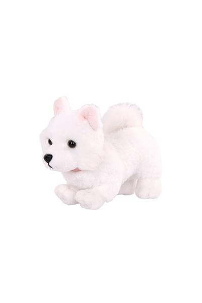 Our Generation Yavru Köpek - Amerikan Eskimo Çok Renkli