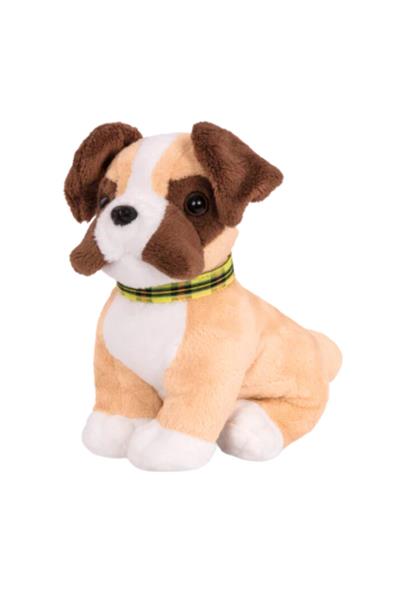 Our Generation Yavru Köpek Çok Renkli