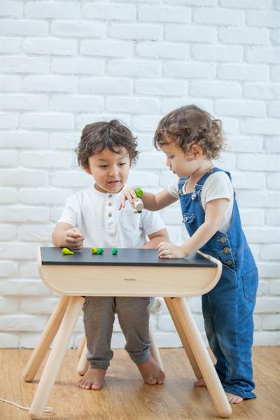 Plantoys / Masa & Sandalye Std