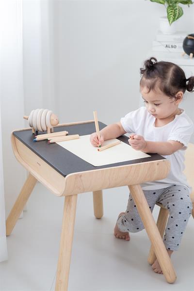 Plantoys / Masa & Sandalye Std