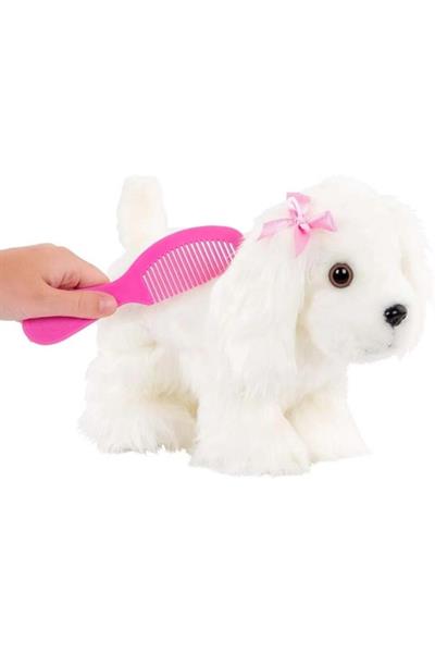 Pucci Pups Maltese ve Tarak Çok Renkli