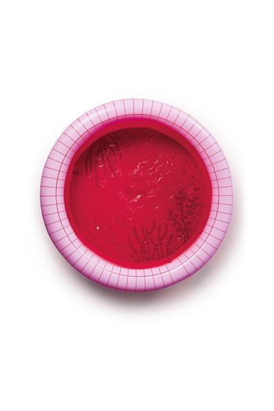 Quut / Dippy Şişme Çocuk Yüzme Havuzu Cherry