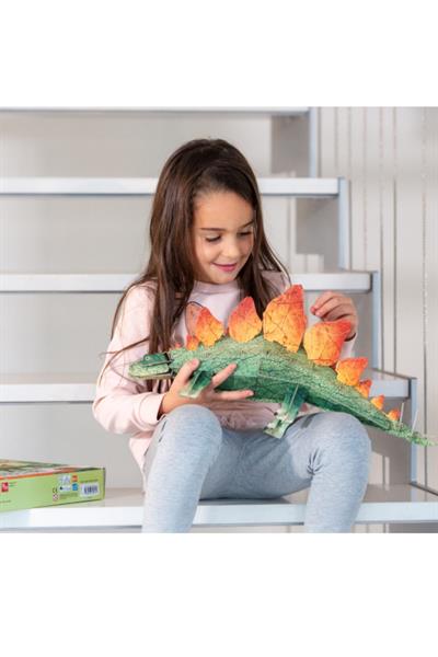 Sassi /3D STEGOSAURUS -BOOK AND 3D MODEL Çok Renkli