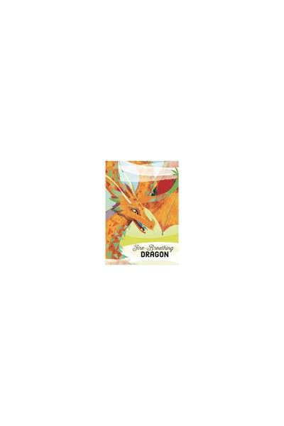 Sassi /DRAGON - BOOK AND PUZZLE Çok Renkli
