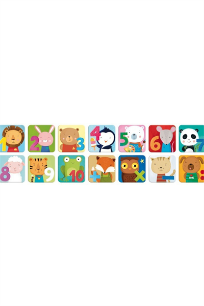 Sassi /PLAY AND LEARN - MEMO NUMBERS Çok Renkli