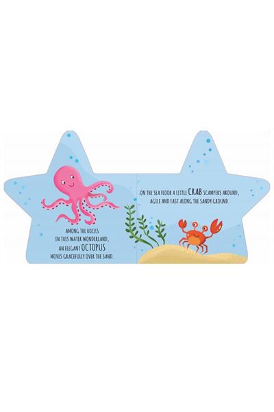 Sassi /SHAPED BOOKS - FRIENDS OF THE SEA Çok Renkli