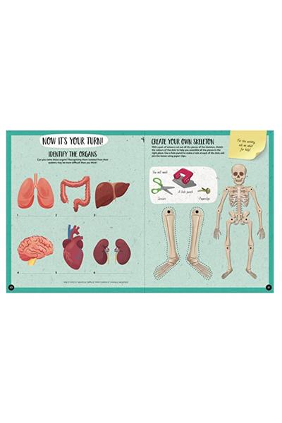 Sassi /WHAT, HOW, WHY - HUMAN BODY Çok Renkli