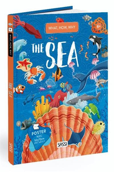 Sassi /WHAT, HOW, WHY - THE SEA Çok Renkli