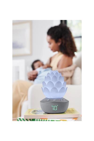 Skip Hop Ağlama Sensörlü Terra Baby Soother Çok Renkli