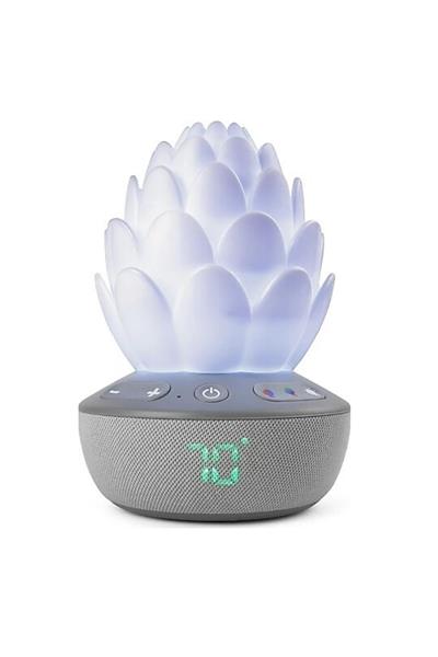 Skip Hop Ağlama Sensörlü Terra Baby Soother Çok Renkli