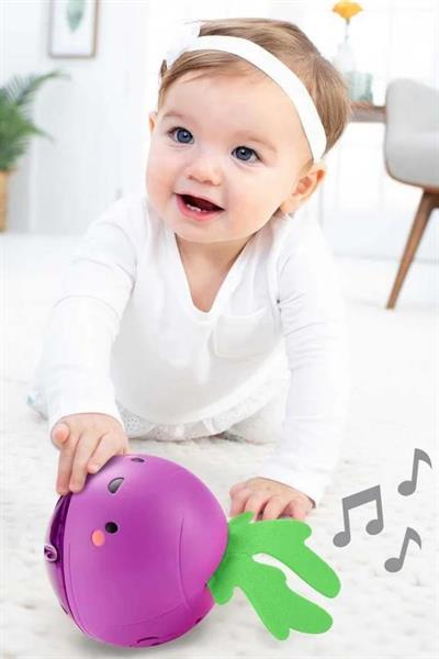 Skip Hop Farmstand Yuvarlanan Çıngırak Çok Renkli