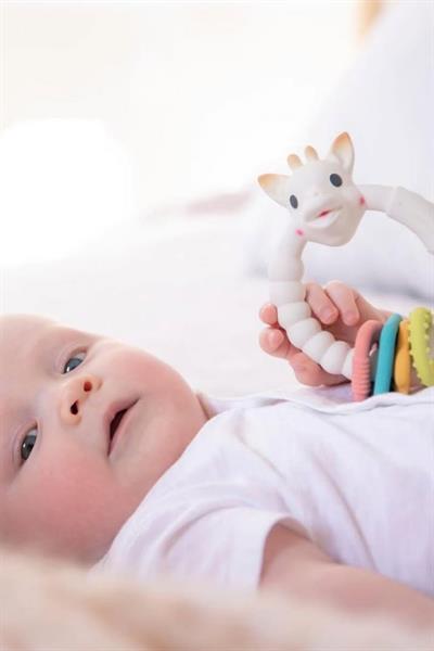 Sophie la Girafe So Pure Coloring Renkli Halka Diş Kaşıyıcı Çok Renkli