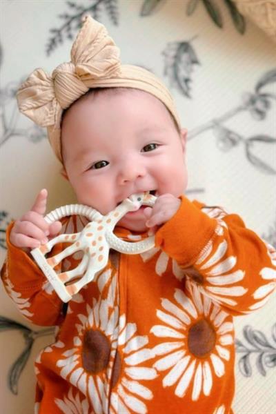 Sophie la girafe So Pure Diş Kaşıma Halkası Çok Renkli