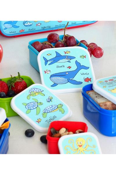 TYRRELL KATZ 4.LÜ ATIŞTIRMA KUTUSU OCEAN Çok Renkli