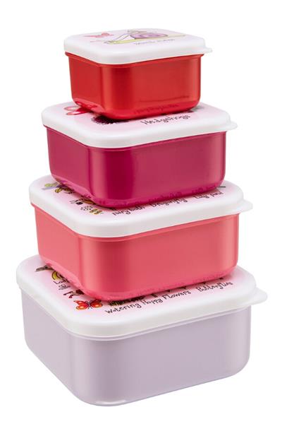 TYRRELL KATZ 4.LÜ ATIŞTIRMA KUTUSU SECRET GARDEN Çok Renkli