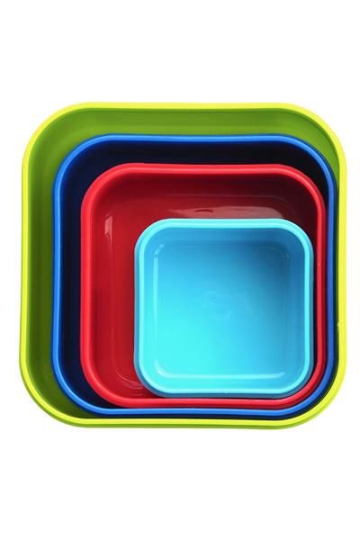 TYRRELL KATZ 4.LÜ ATIŞTIRMA KUTUSU DINO Çok Renkli