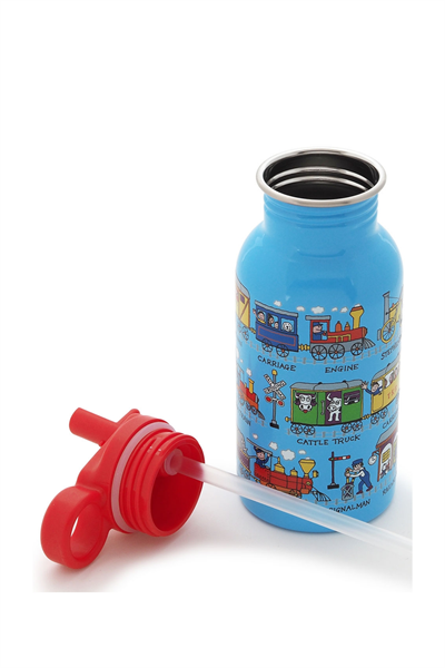 TYRRELL KATZ TRAINS PİPETLİ ÇELİK MATARA 400ML Çok Renkli