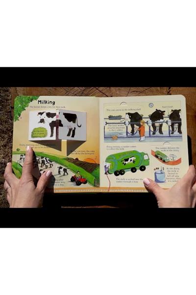 Usborne /LOOK INSIDE A FARM Çok Renkli