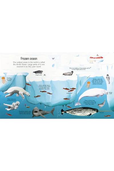 Usborne /MY FIRST SEAS AND OCEANS BOOK Çok Renkli