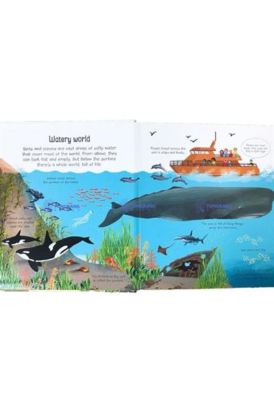 Usborne /MY FIRST SEAS AND OCEANS BOOK Çok Renkli