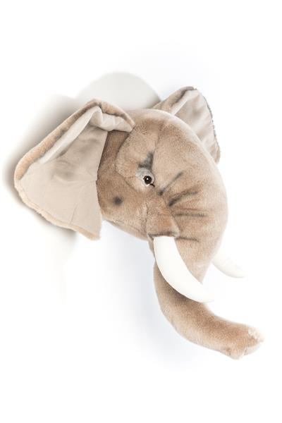 Wild&Soft / Fil George Std