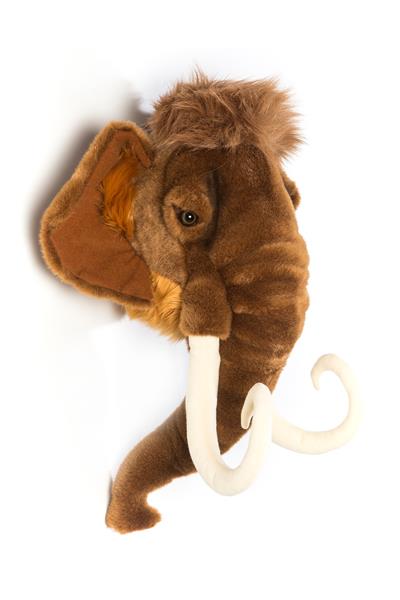 Wild&Soft / Mamut Std