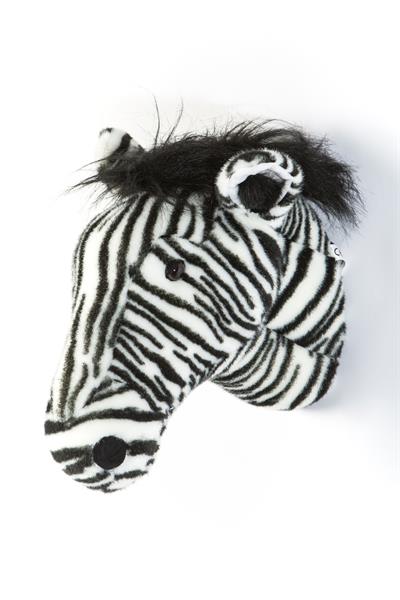 Wild&Soft / Zebra Daniel Std