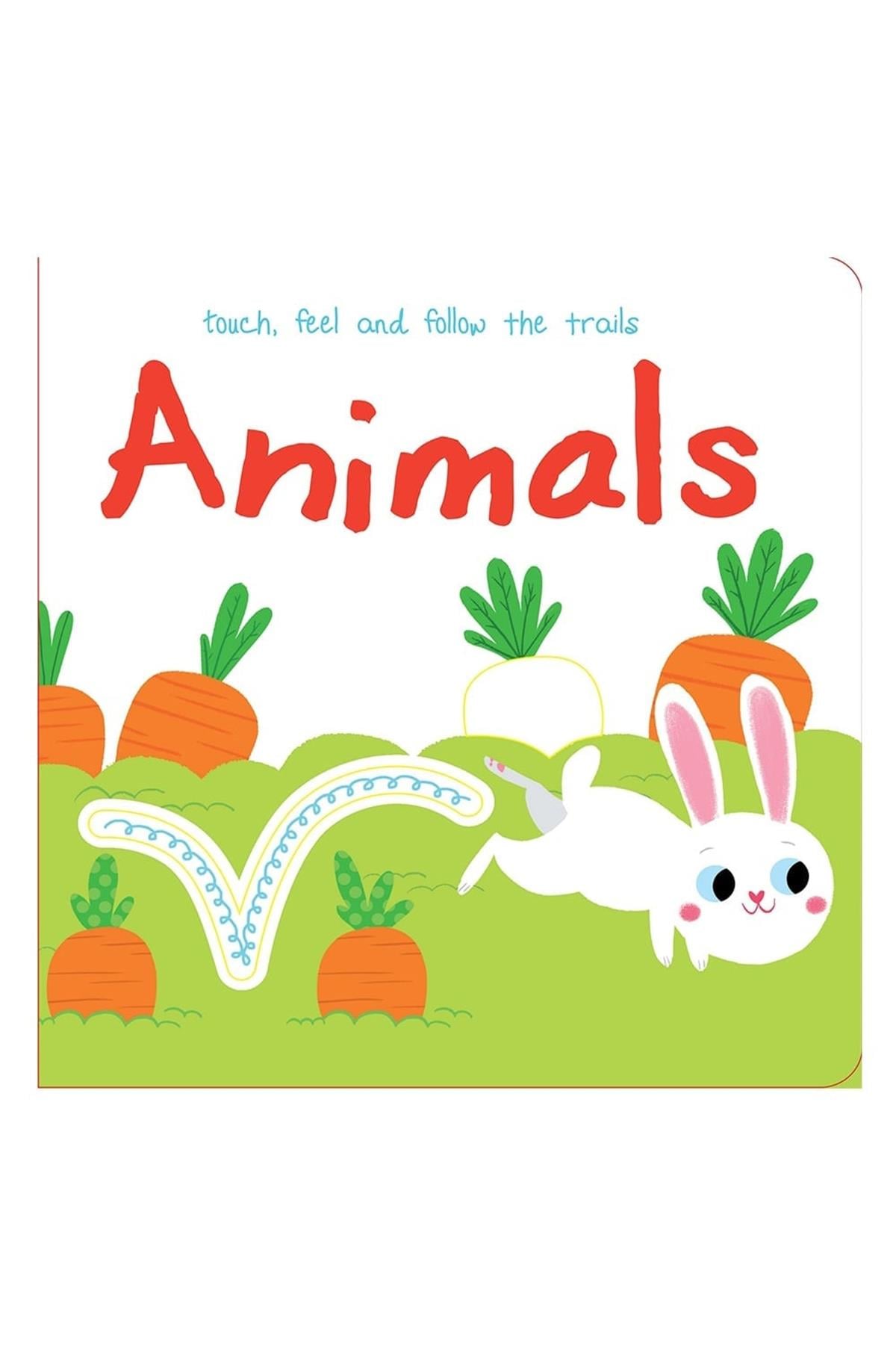 ANIMALS - TOUCH, FEEL AND FOLLOW THE TRAILS Çok Renkli