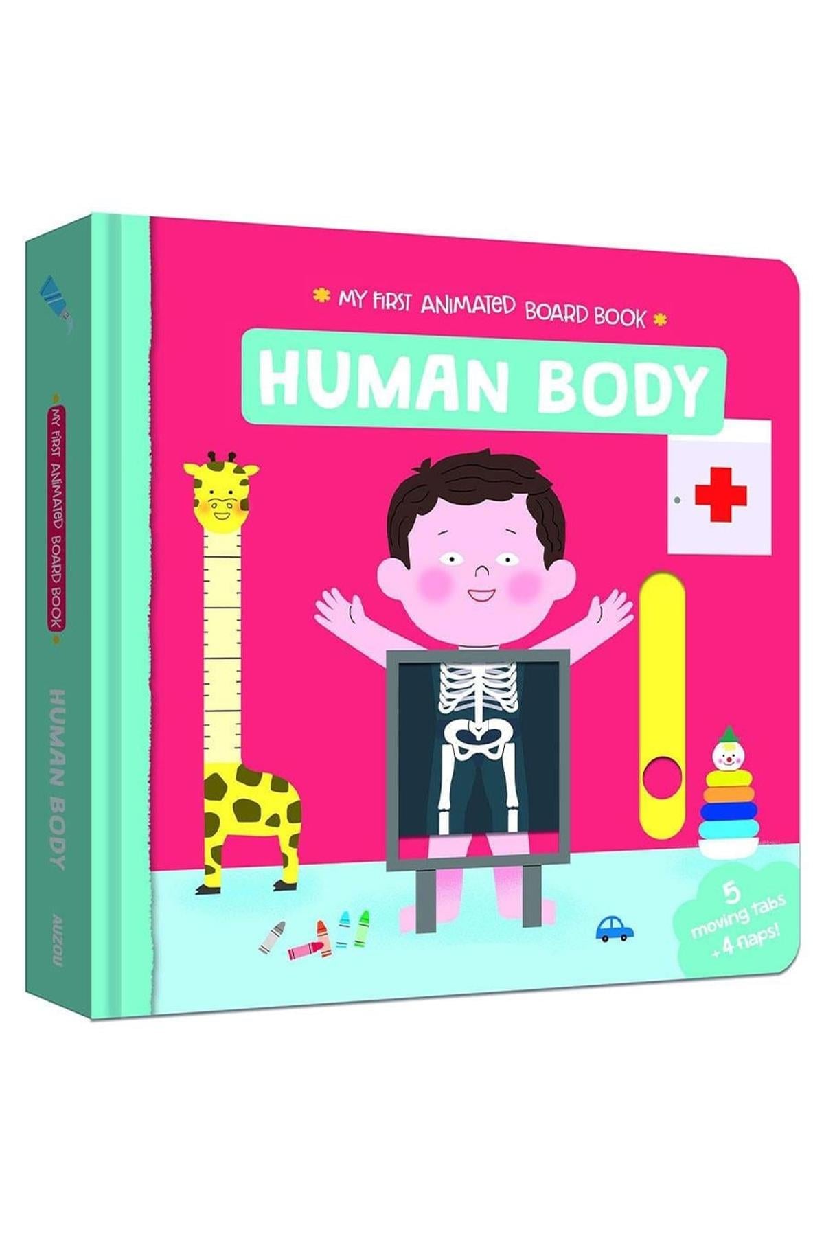 Auzou / My First Animated Board Book - Human Body Çok Renkli