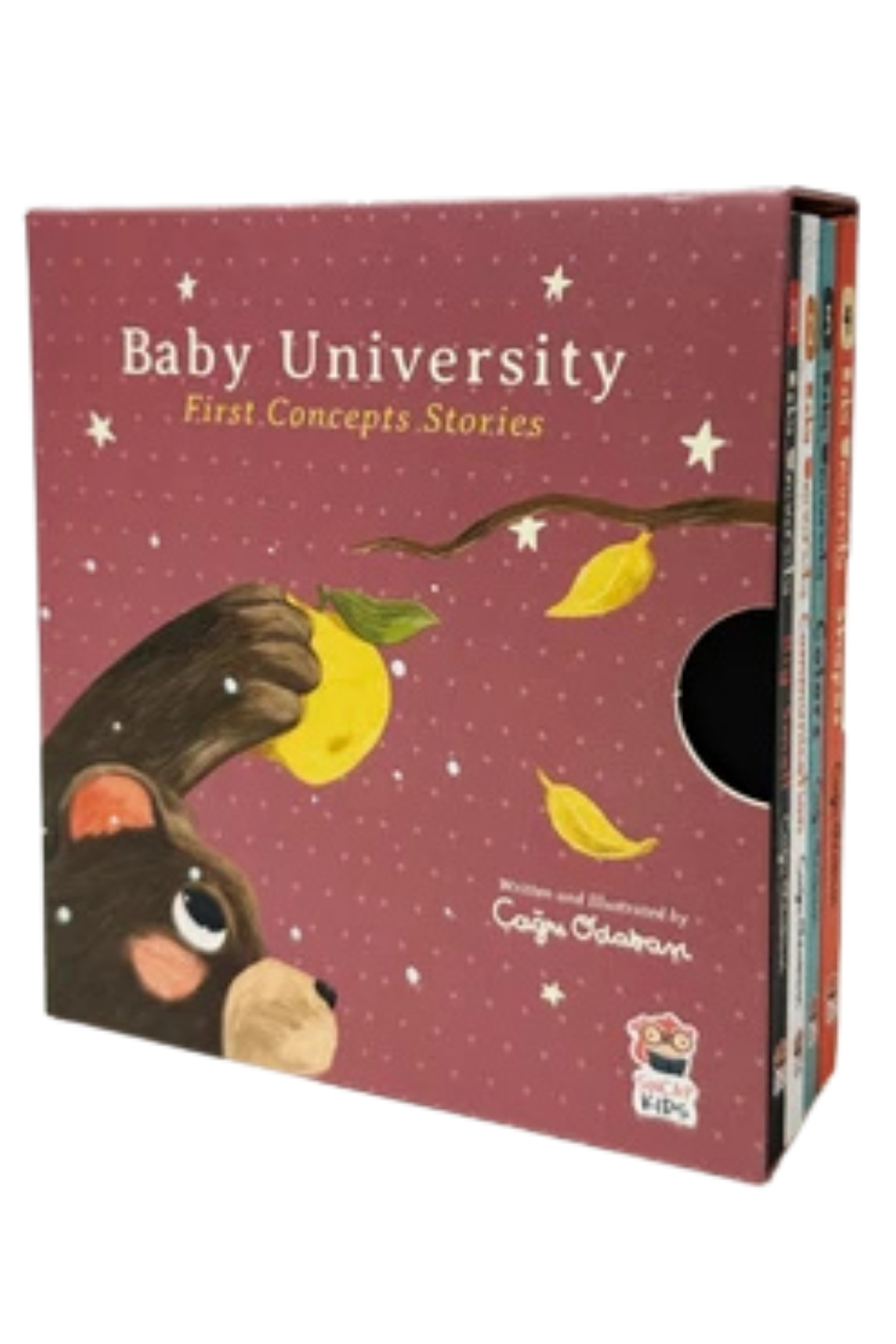 BABY UNİVERSİTY FİRST CONCEPTS STORİES (4 BOOK) Çok Renkli