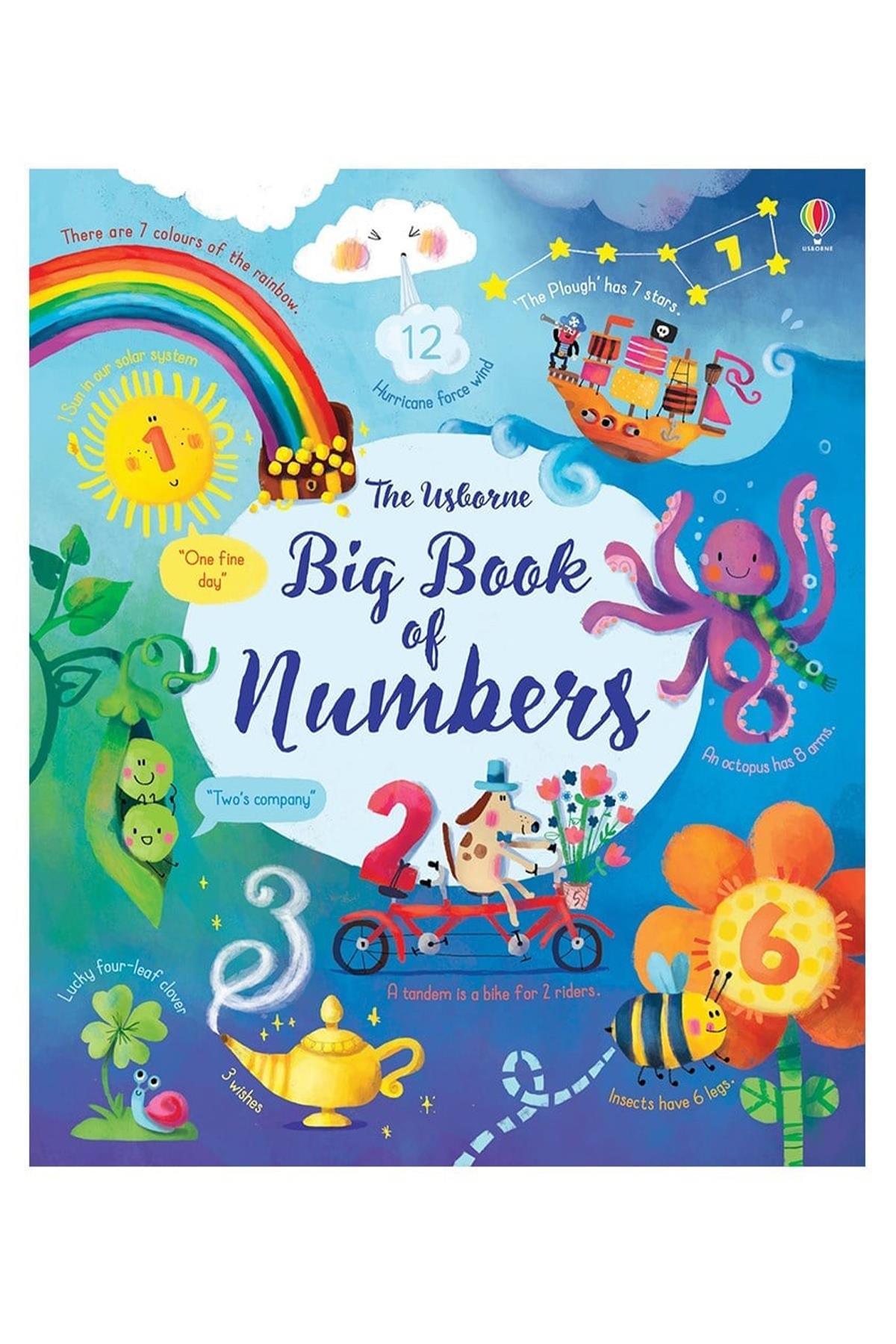 Big Book Of Numbers Çok Renkli