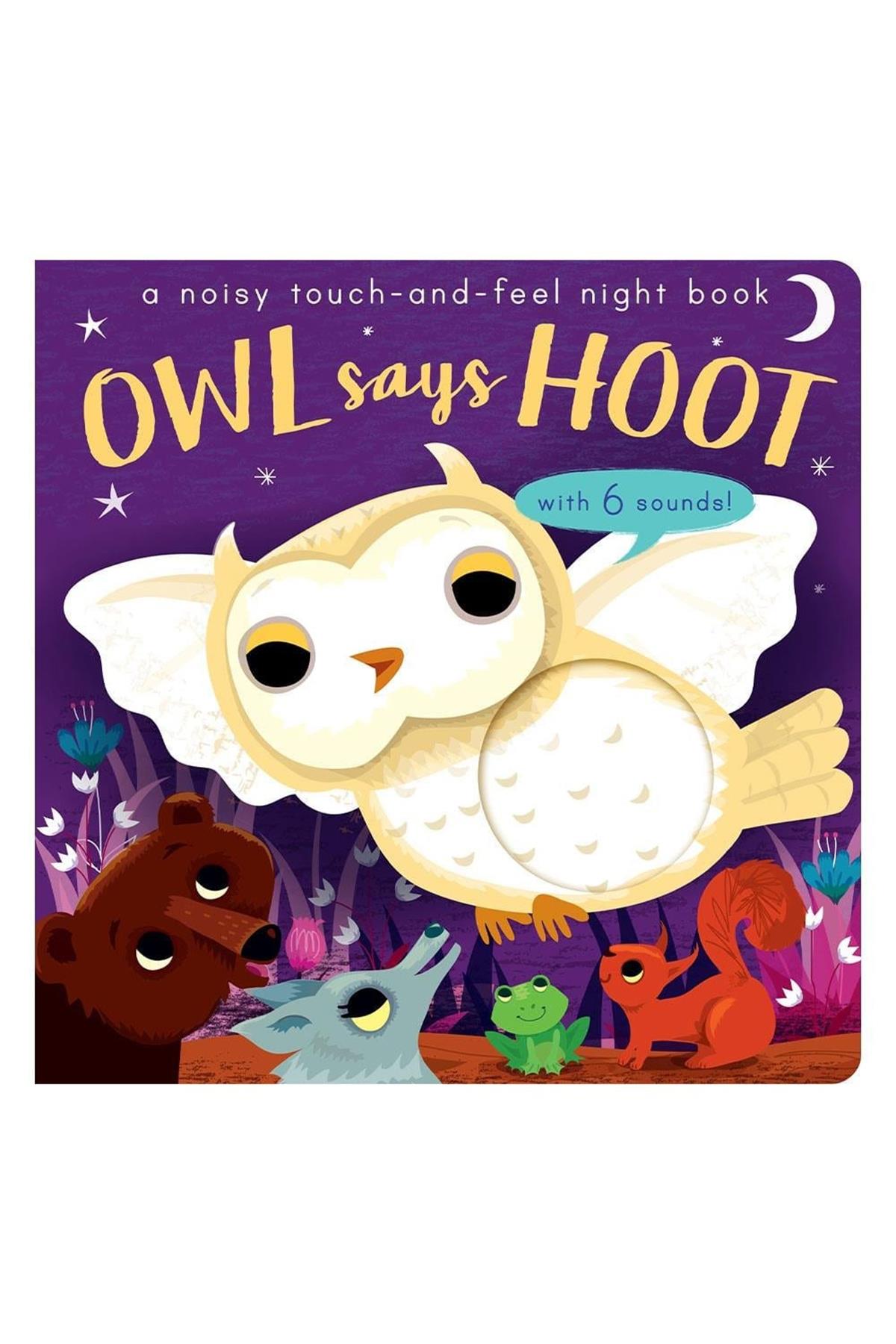 Owl Says Hoot - A Noisy Touch-and-Feel Night Book Çok Renkli