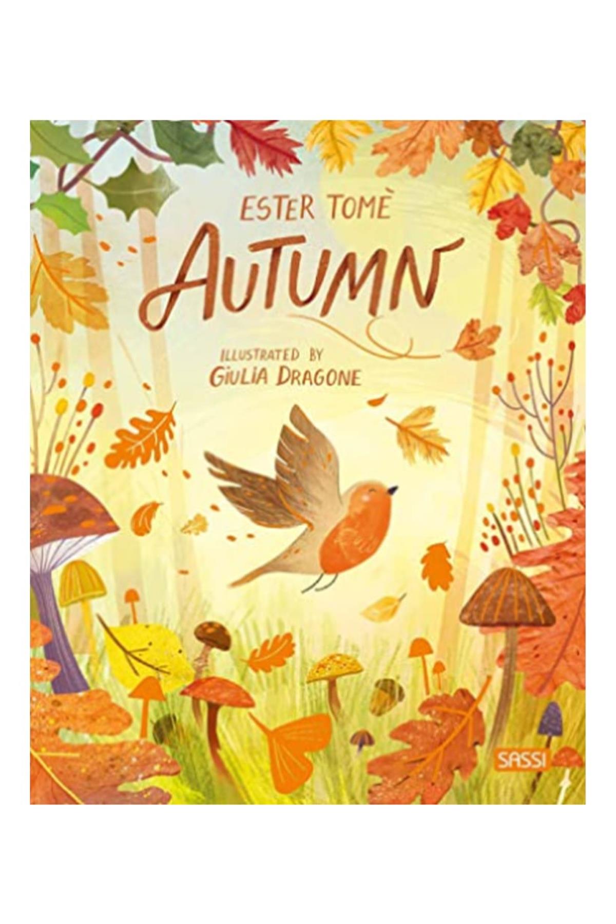 Sassi /AUTUMN Çok Renkli