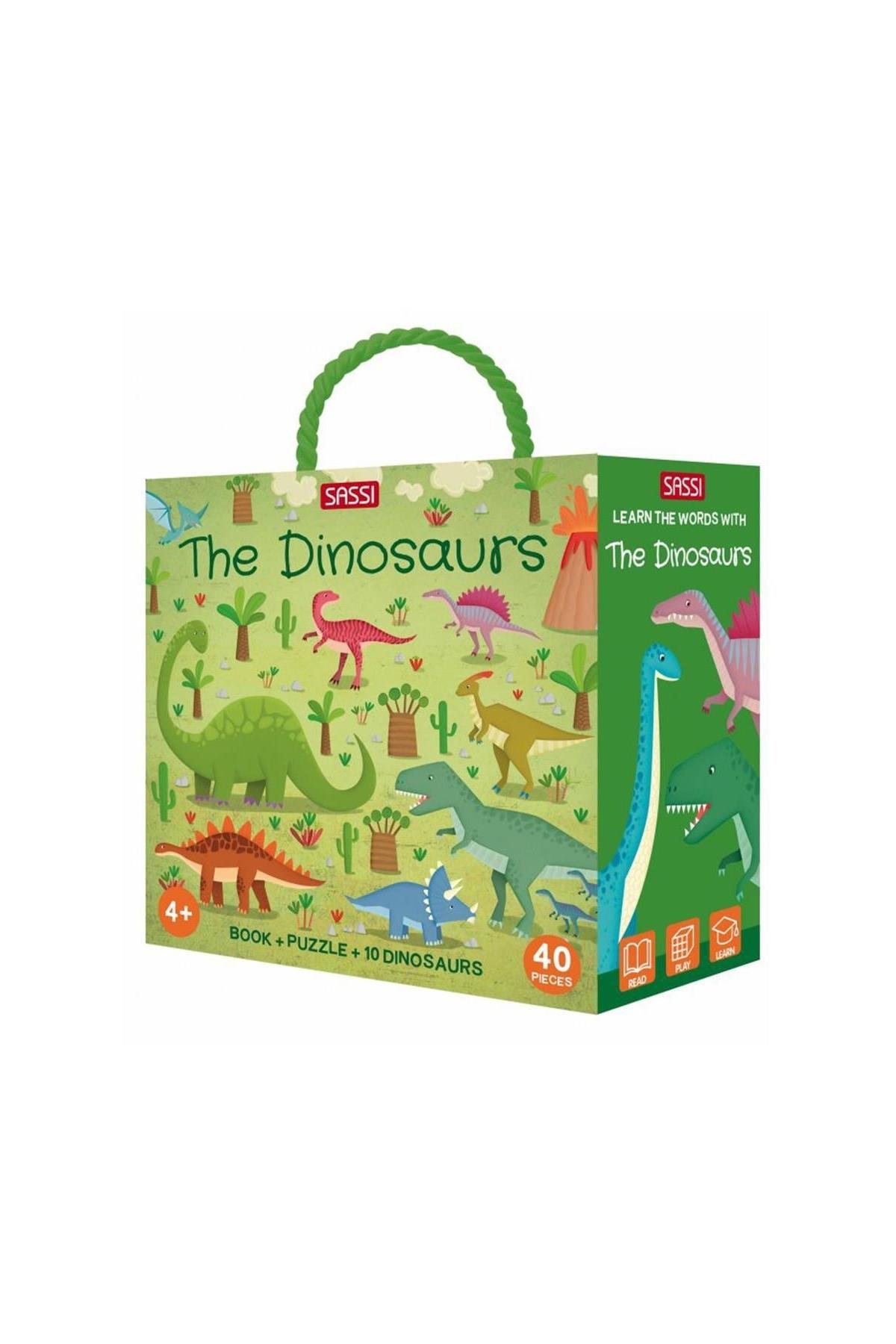 Sassi /LEARN THE WORDS WITH DINOSAURS Çok Renkli
