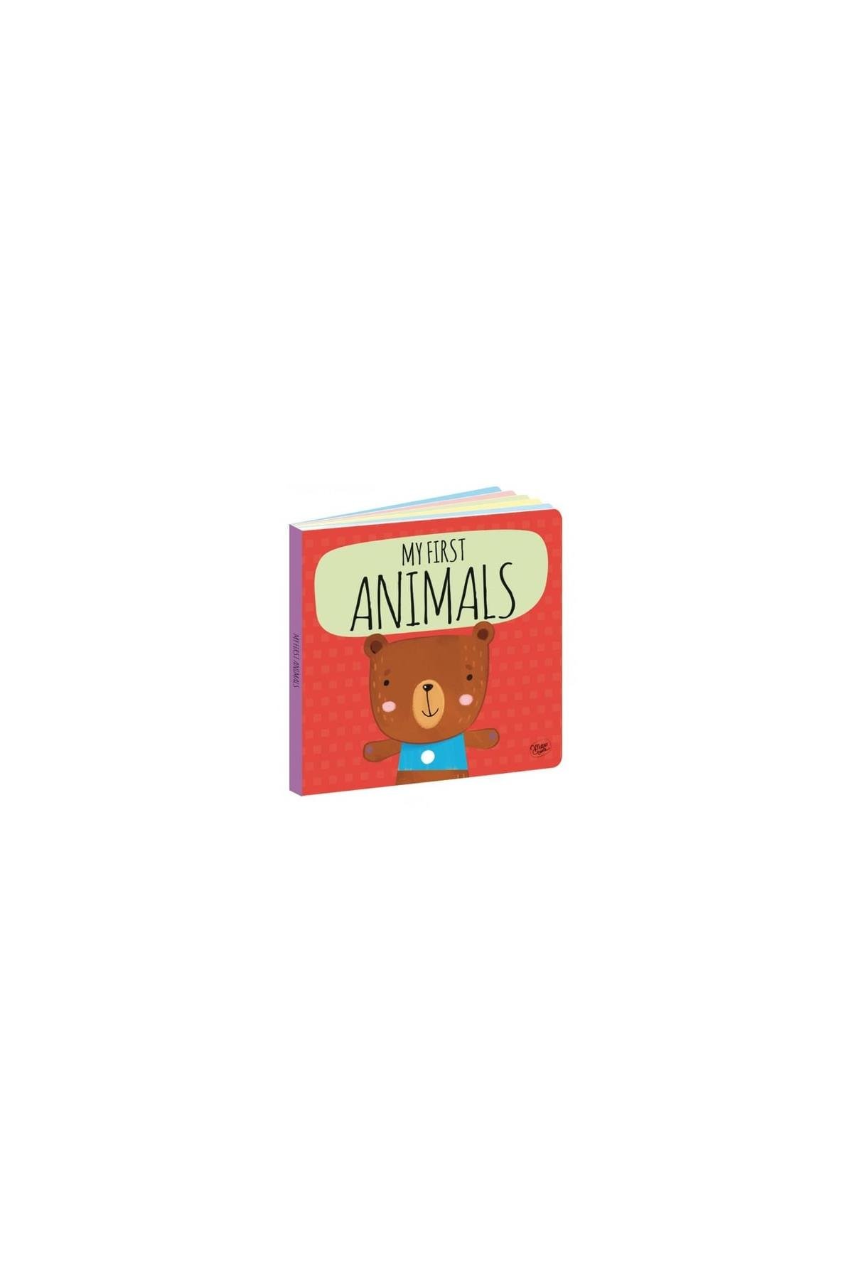 Sassi /MY FIRST ANIMALS - STEAM PUZZLE Çok Renkli