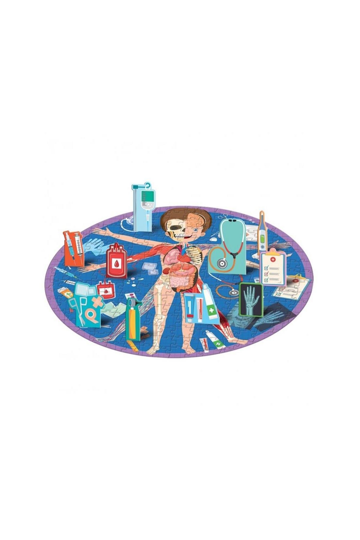 Sassi /TRAVEL, LEARN AND EXPLORE - THE HUMAN BODY Çok Renkli