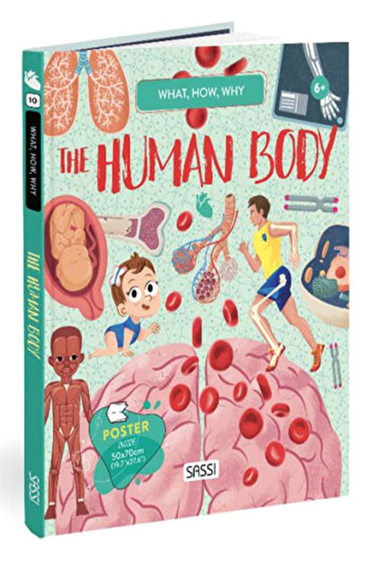Sassi /WHAT, HOW, WHY - HUMAN BODY Çok Renkli