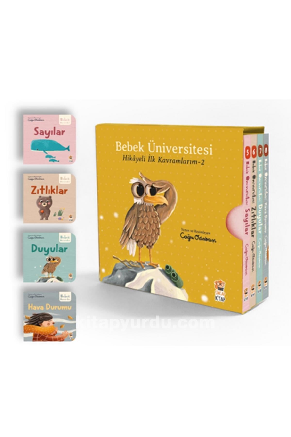 Sincap Kitap / Bebek Üniversitesi 2- Hikayeli İlk Kavramlarım Set Çok Renkli