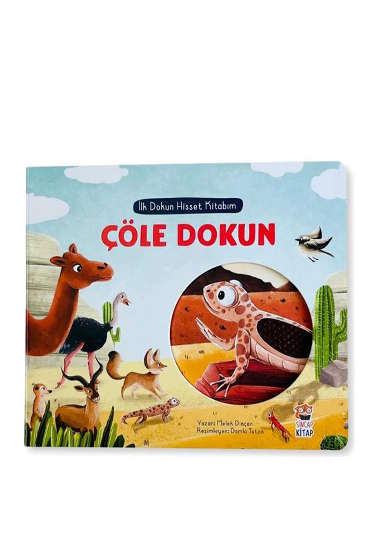 Sincap Kitap / İLK DOKUN HİSSET KİTABIM Çöle Dokun Çok Renkli