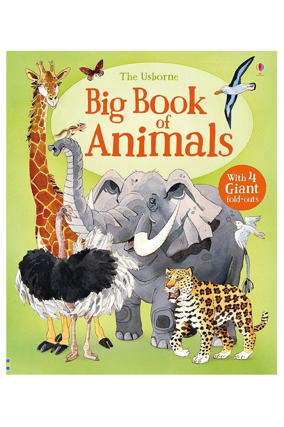 Usborne / BIG BOOK OF ANIMALS Çok Renkli