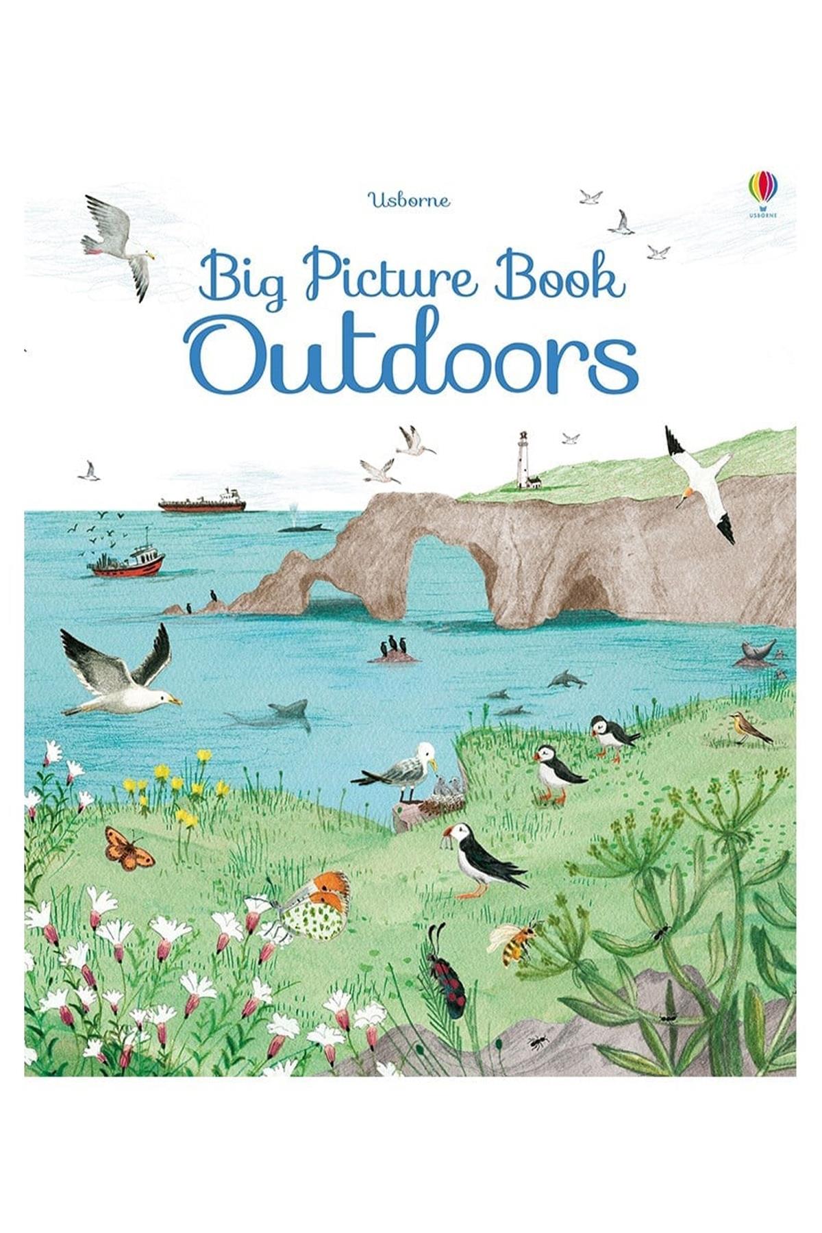 Usborne / BIG PICTURE BOOK OUTDOORS Çok Renkli