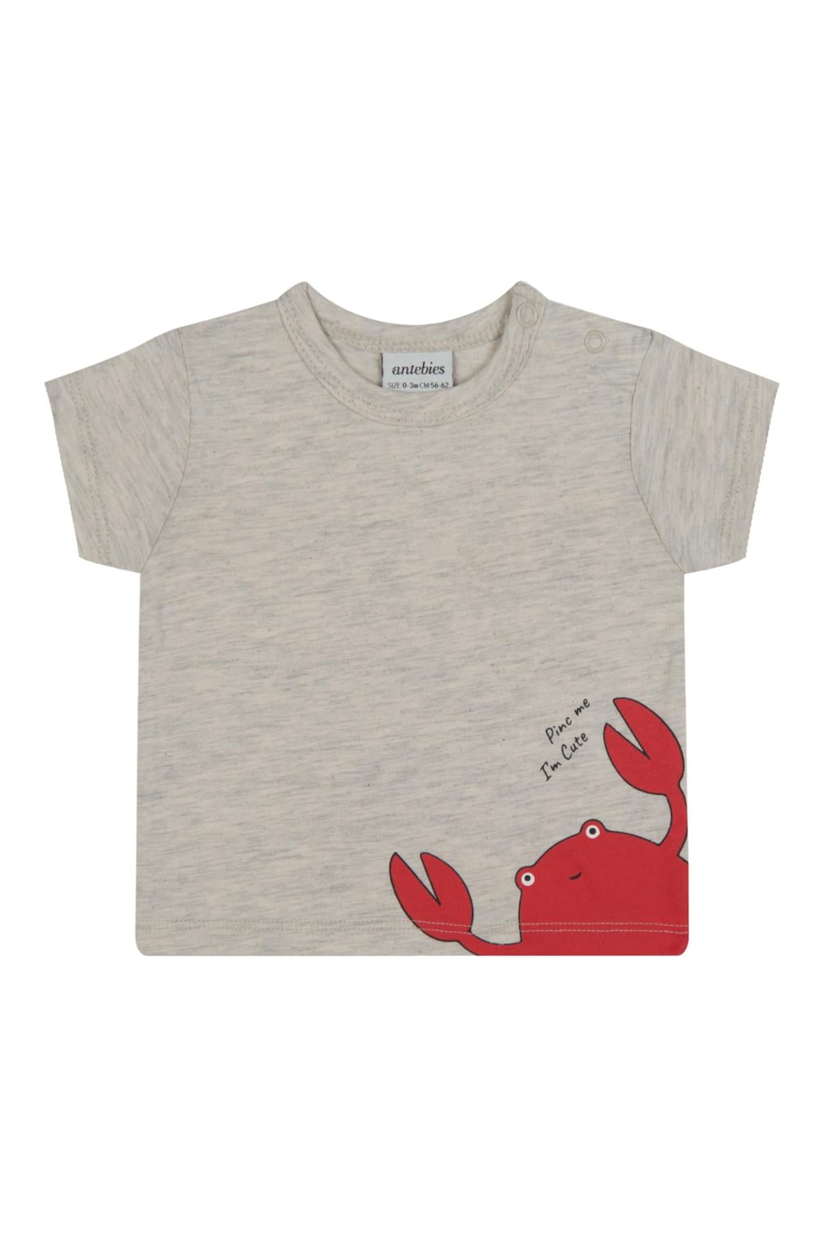 Yengeç Ailesi T-shirt Gri