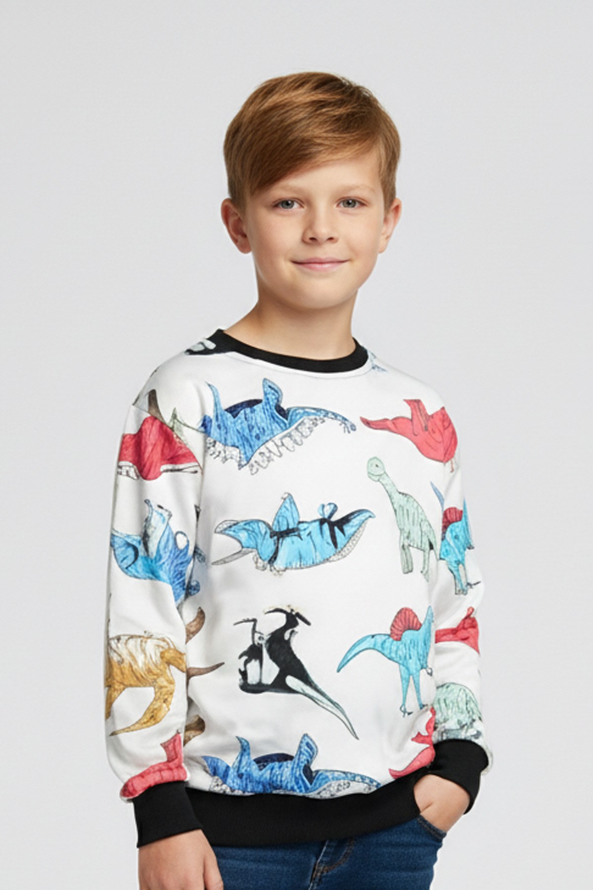 Sıfır Yaka Dinazor Desenli Erkek Çocuk Sweatshirt