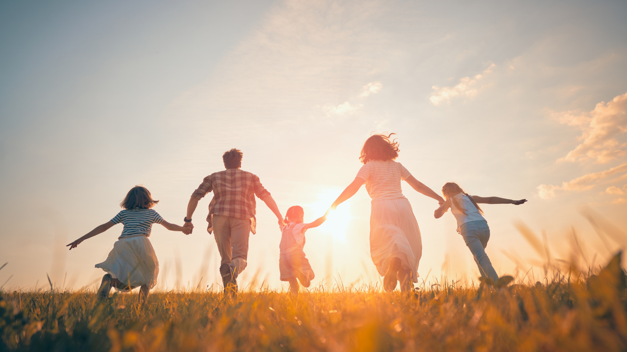 Aile Dizimi Sertifikası ile Neler Yapılabilir ?