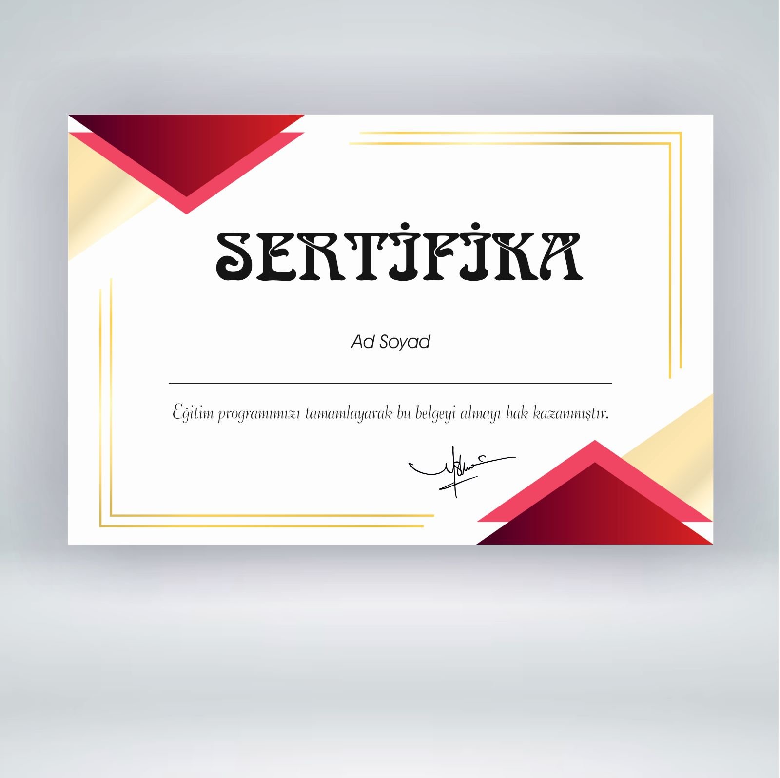 Üniversite Onaylı Sertifika Neden Önemlidir ?
