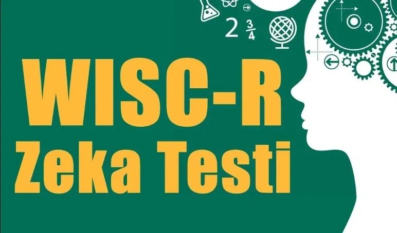 Wısc- R Zeka Testi Sertifika Programı Nedir ?