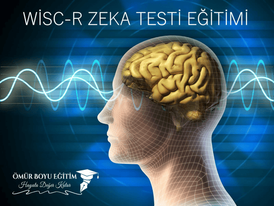 Wısc-R Zeka Testi Materyali